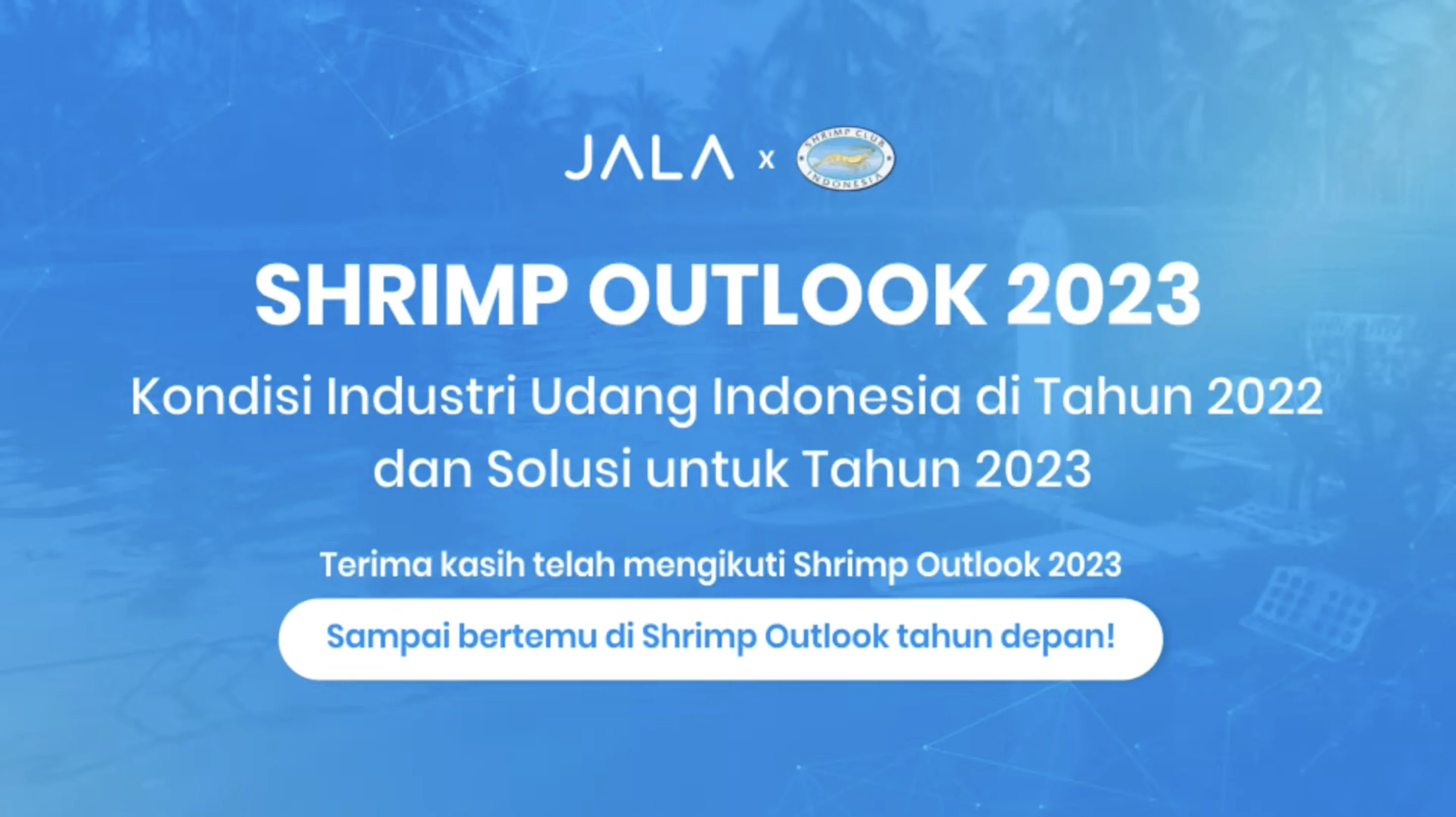 Shrimp Outlook 2023